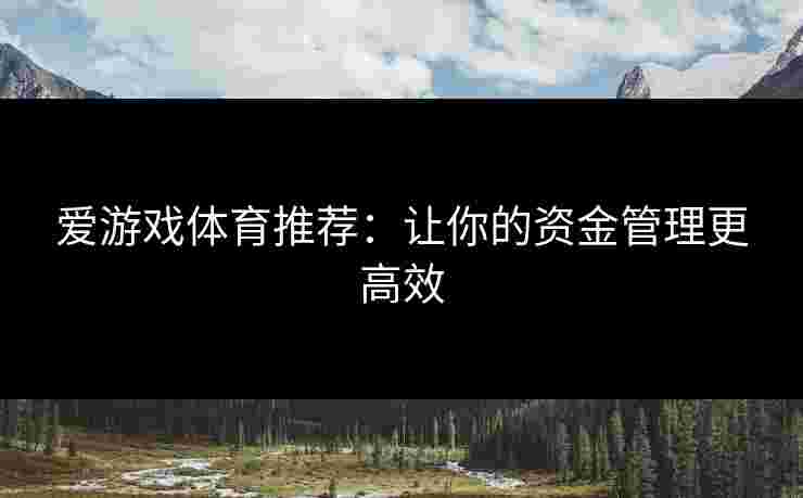 爱游戏体育推荐：让你的资金管理更高效