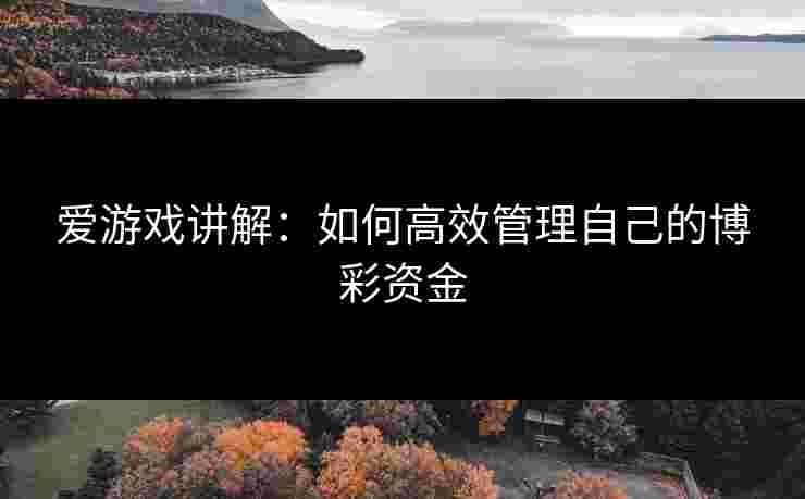 爱游戏讲解：如何高效管理自己的博彩资金