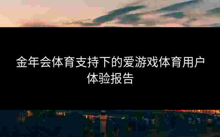 金年会体育支持下的爱游戏体育用户体验报告