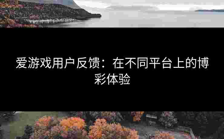 爱游戏用户反馈：在不同平台上的博彩体验