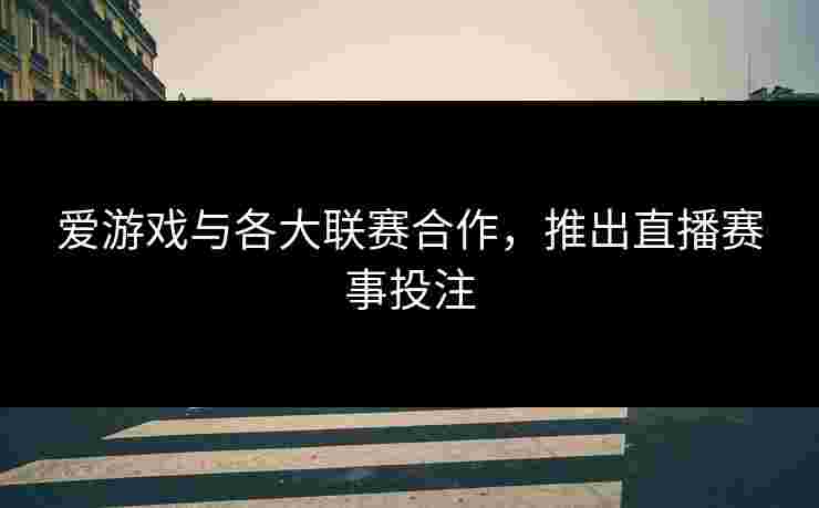 爱游戏与各大联赛合作，推出直播赛事投注